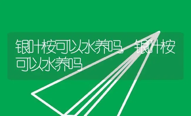 银叶桉可以水养吗,银叶桉可以水养吗 | 养殖常见问题