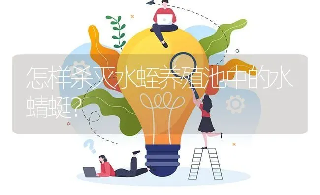 怎样杀灭水蛭养殖池中的水蜻蜓? | 养殖问题解答
