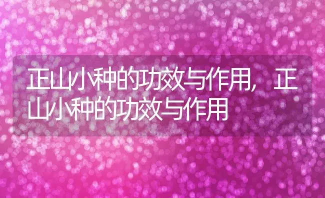 正山小种的功效与作用,正山小种的功效与作用 | 养殖常见问题