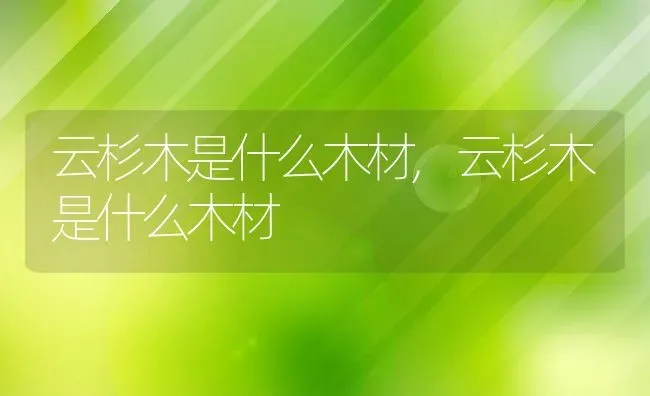 云杉木是什么木材,云杉木是什么木材 | 养殖常见问题