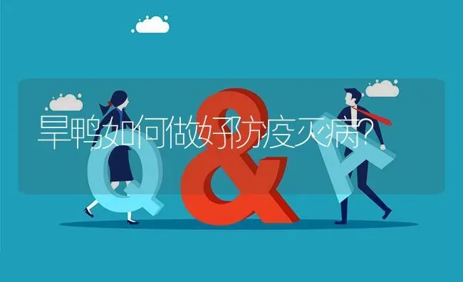 旱鸭如何做好防疫灭病? | 养殖问题解答