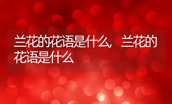 11朵香槟玫瑰花代表什么意思,求大神解答11朵香槟玫瑰代表什么意思？ | 养殖常见问题