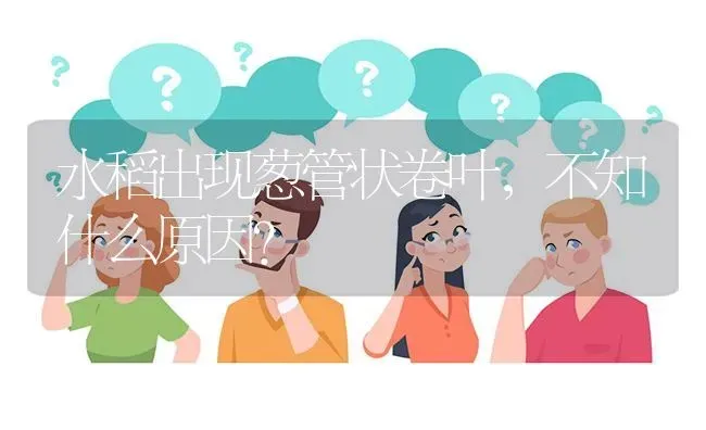 水稻出现葱管状卷叶,不知什么原因? | 养殖问题解答