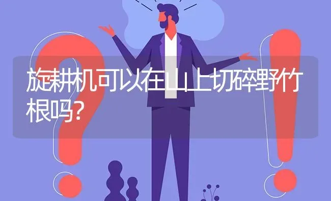 旋耕机可以在山上切碎野竹根吗? | 养殖问题解答