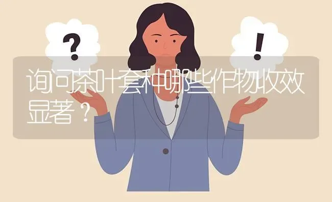 询问茶叶套种哪些作物收效显著? | 养殖问题解答