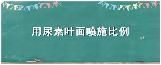 用尿素叶面喷施比例 | 农业常识