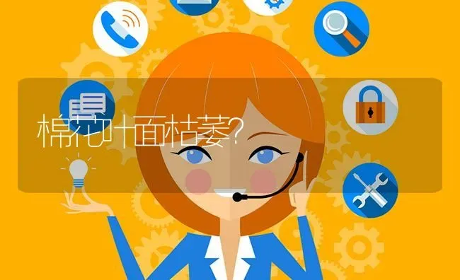 棉花叶面枯萎? | 养殖问题解答