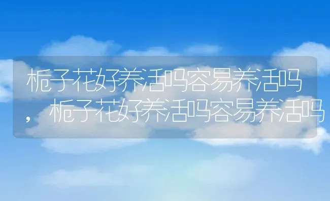 栀子花好养活吗容易养活吗,栀子花好养活吗容易养活吗 | 养殖常见问题