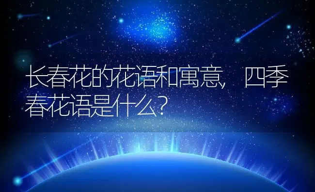 长春花的花语和寓意,四季春花语是什么？ | 养殖常见问题