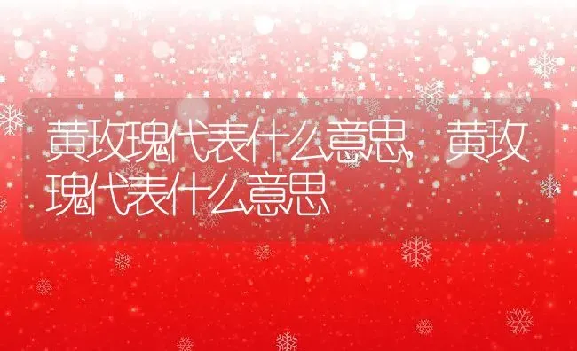 桑柘木是什么树,桑柘木是什么树 | 养殖常见问题