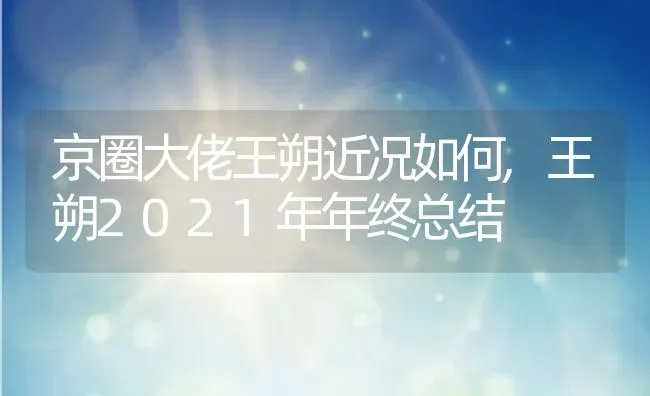 京圈大佬王朔近况如何,王朔2021年年终总结 | 养殖常见问题