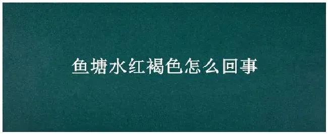 鱼塘水红褐色怎么回事 | 农业常识