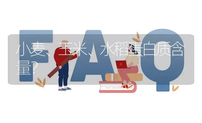 小麦、玉米、水稻蛋白质含量? | 养殖问题解答
