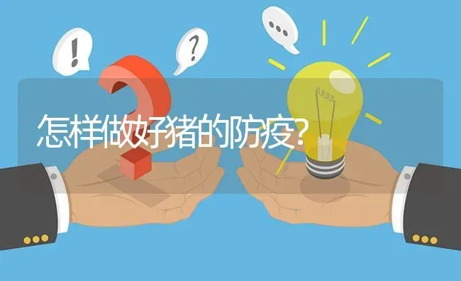 怎样做好猪的防疫? | 养殖问题解答