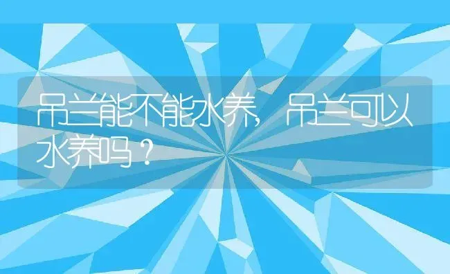 吊兰能不能水养,吊兰可以水养吗？ | 养殖常见问题