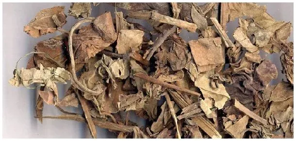鱼腥草和双黄连的区别 | 农业常识