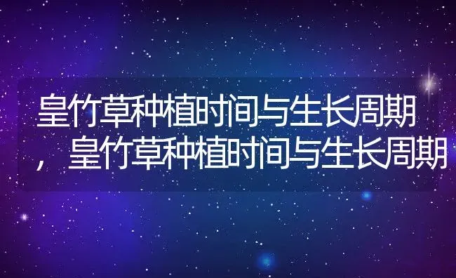 皇竹草种植时间与生长周期,皇竹草种植时间与生长周期 | 养殖常见问题