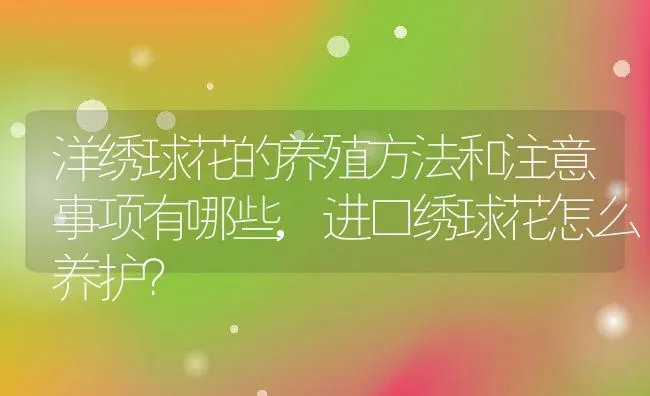 洋绣球花的养殖方法和注意事项有哪些,进口绣球花怎么养护？ | 养殖常见问题