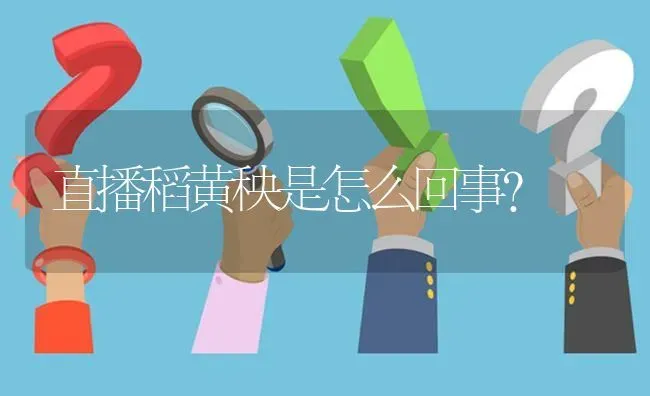 直播稻黄秧是怎么回事? | 养殖问题解答