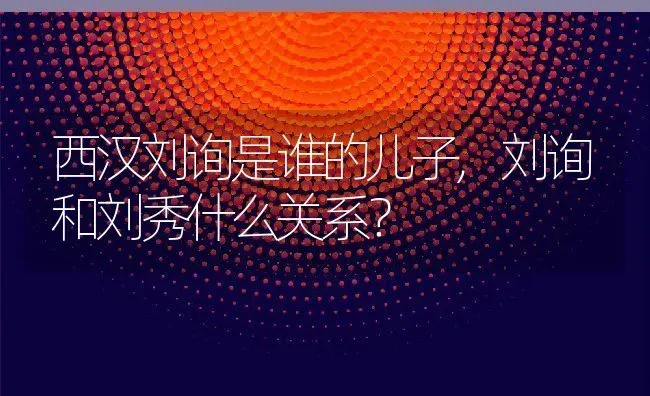 西汉刘询是谁的儿子,刘询和刘秀什么关系？ | 养殖常见问题