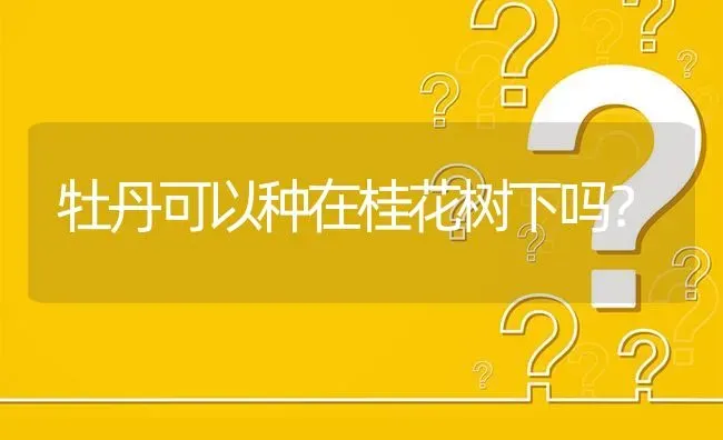 牡丹可以种在桂花树下吗? | 养殖问题解答