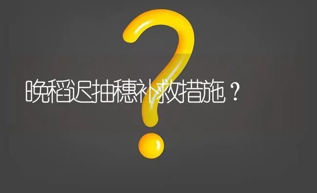 晚稻迟抽穗补救措施? | 养殖问题解答