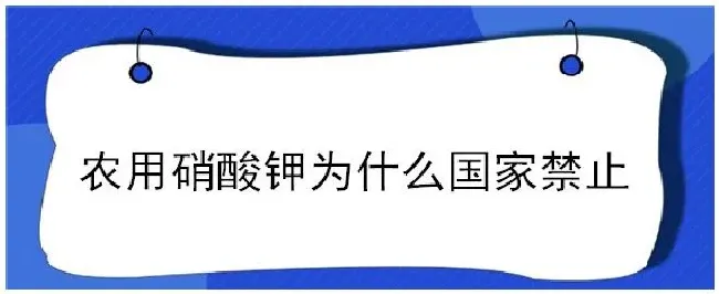 农用硝酸钾为什么国家禁止 | 生活常识