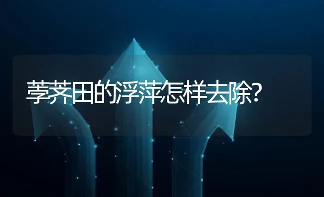 荸荠田的浮萍怎样去除? | 养殖问题解答
