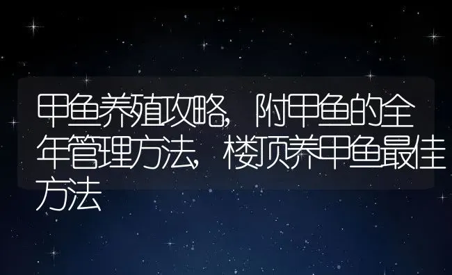 甲鱼养殖攻略,附甲鱼的全年管理方法,楼顶养甲鱼最佳方法 | 养殖常见问题