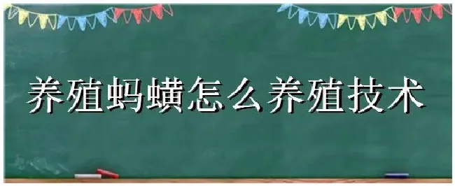 养殖蚂蟥怎么养殖技术 | 三农答疑
