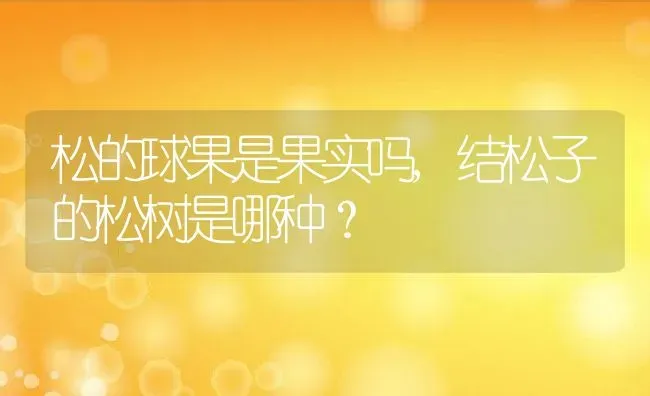 松的球果是果实吗,结松子的松树是哪种？ | 养殖常见问题