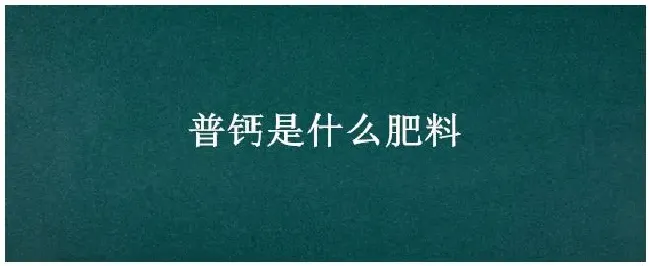 普钙是什么肥料 | 三农问答