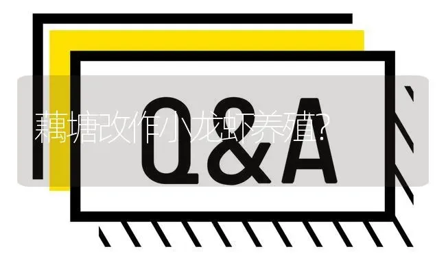 藕塘改作小龙虾养殖? | 养殖问题解答