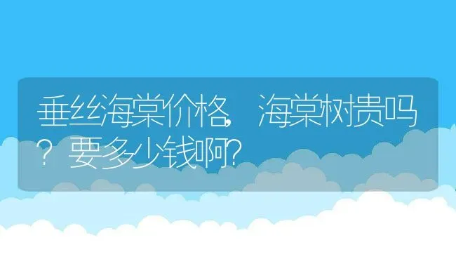 垂丝海棠价格,海棠树贵吗？要多少钱啊？ | 养殖常见问题