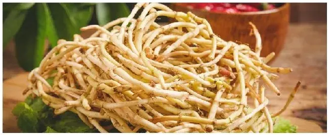 鱼腥草的病害怎么治 | 科普知识