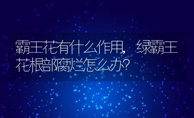 霸王花有什么作用,绿霸王花根部腐烂怎么办？ | 养殖常见问题