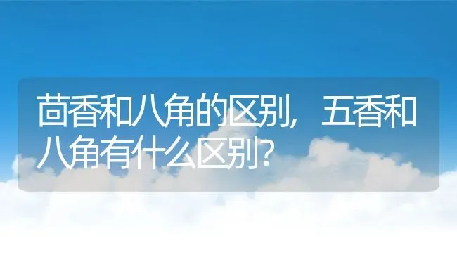 茴香和八角的区别,五香和八角有什么区别？ | 养殖常见问题