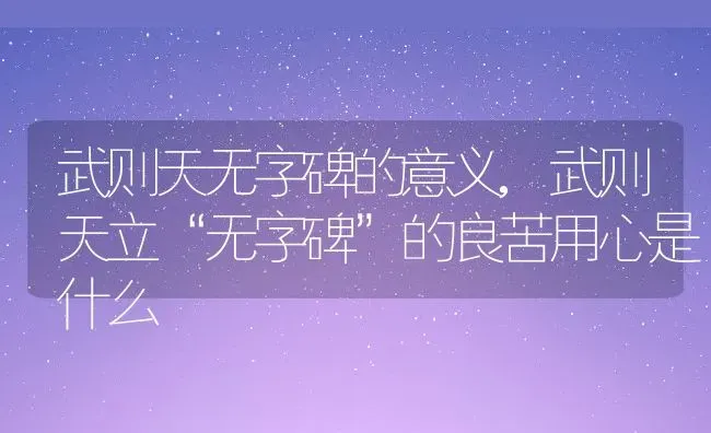 武则天无字碑的意义,武则天立“无字碑”的良苦用心是什么 | 养殖常见问题