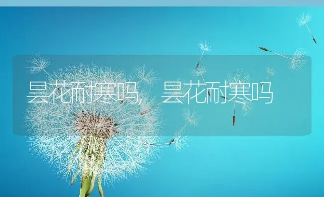 昙花耐寒吗,昙花耐寒吗 | 养殖常见问题