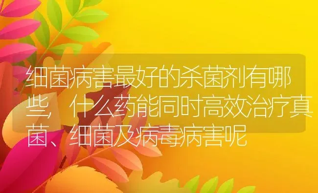 细菌病害最好的杀菌剂有哪些,什么药能同时高效治疗真菌、细菌及病毒病害呢 | 养殖常见问题