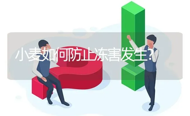 小麦如何防止冻害发生? | 养殖问题解答