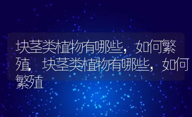 块茎类植物有哪些，如何繁殖,块茎类植物有哪些，如何繁殖 | 养殖常见问题