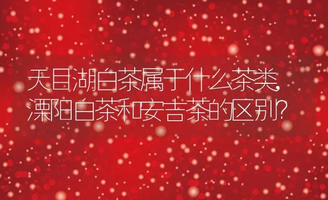 天目湖白茶属于什么茶类,溧阳白茶和安吉茶的区别？ | 养殖常见问题