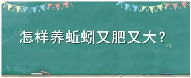 怎样养蚯蚓又肥又大 | 三农问答