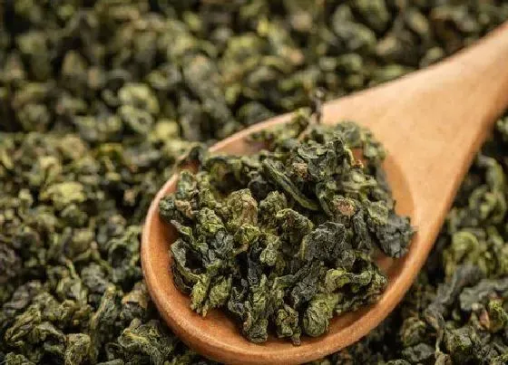 植物常识问题|茶叶品种分类 茶叶品种排名和图片