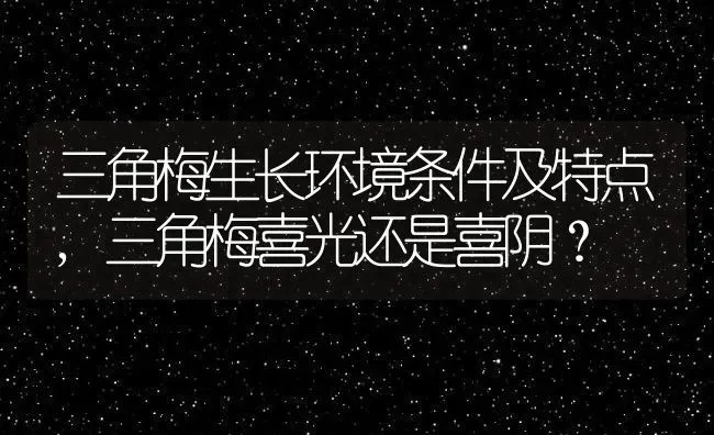 三角梅生长环境条件及特点,三角梅喜光还是喜阴？ | 养殖常见问题