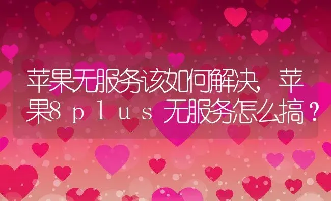 苹果无服务该如何解决,苹果8plus无服务怎么搞？ | 养殖常见问题