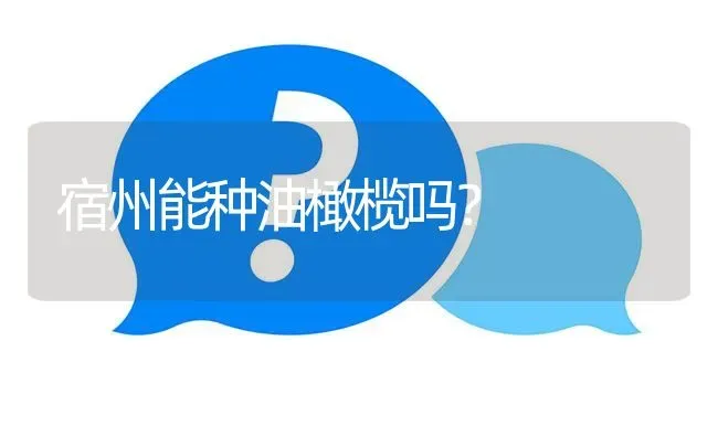 宿州能种油橄榄吗? | 养殖问题解答