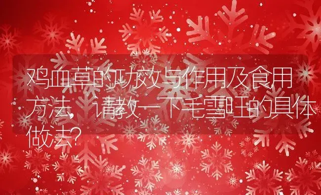 鸡血草的功效与作用及食用方法,请教一下毛雪旺的具体做法? | 养殖常见问题