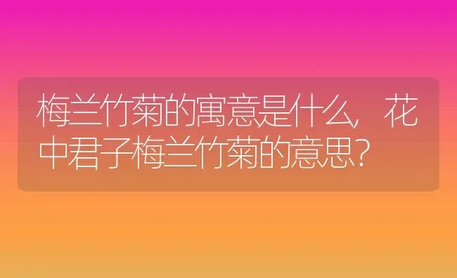 梅兰竹菊的寓意是什么,花中君子梅兰竹菊的意思？ | 养殖常见问题